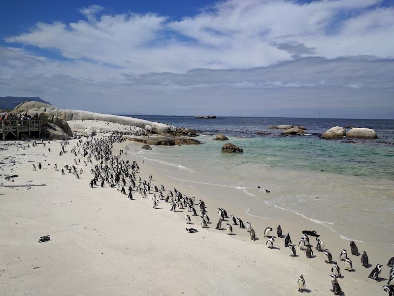 Boulders Beach