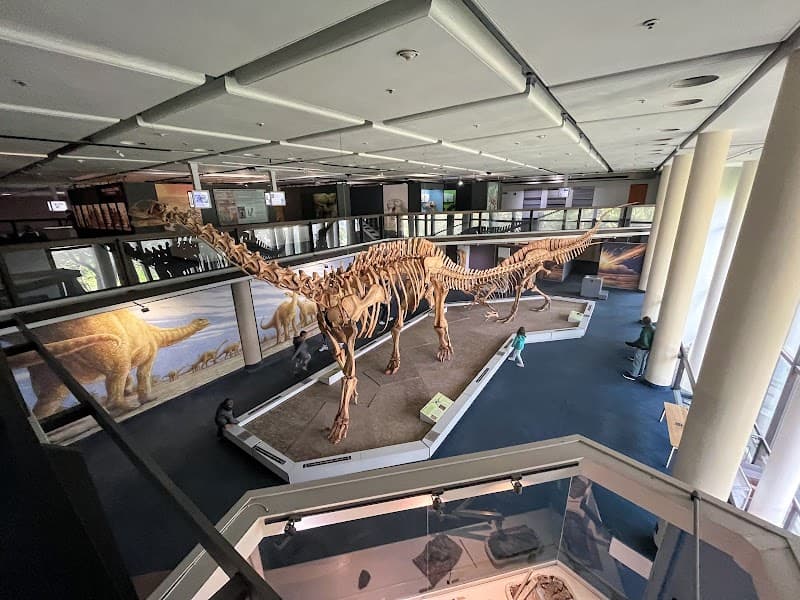 Iziko South African Museum