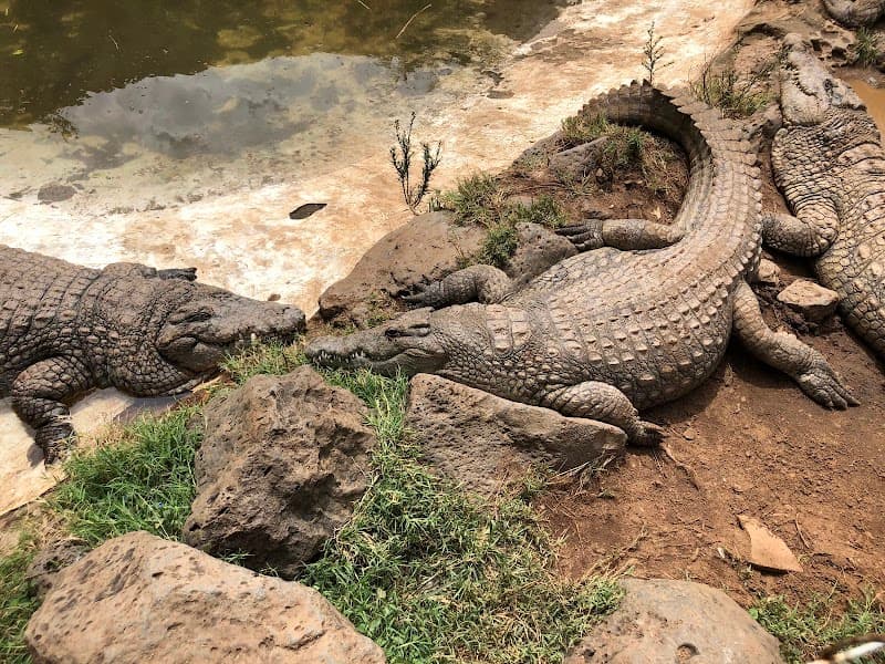 Nairobi Mamba Village