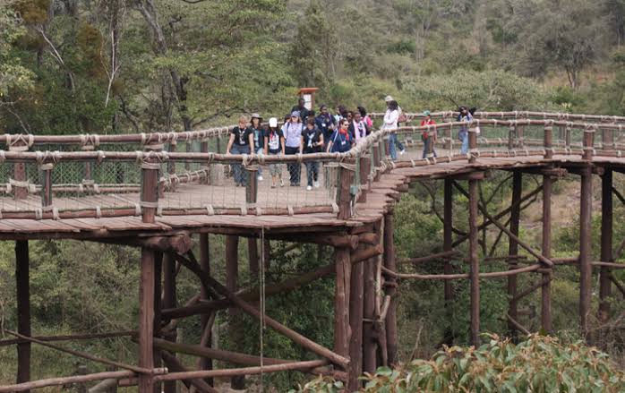 Nairobi Safari Walk