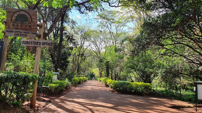 The Nairobi Arboretum